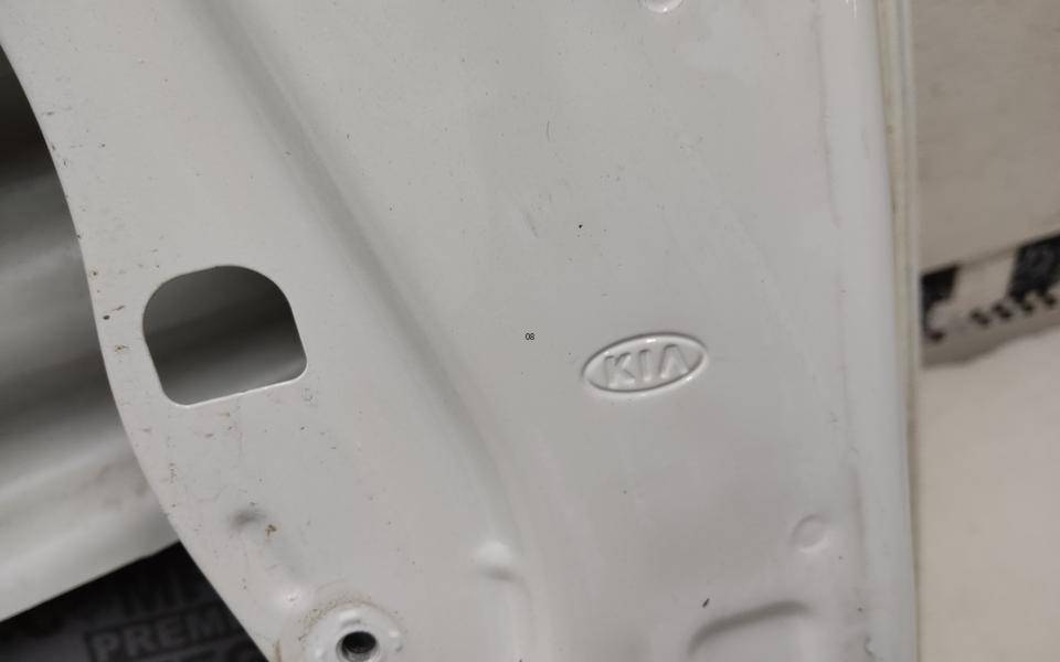 Дверь передняя левая